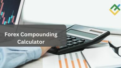 Forex Compounding Calculator – The Calculating Details Decoded!