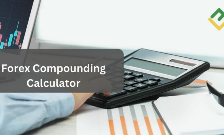 Forex Compounding Calculator – The Calculating Details Decoded!