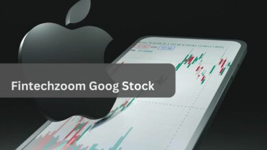 Fintechzoom Goog Stock – A Comprehensive Guidebook!