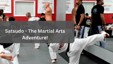 Satsudo - The Martial Arts Adventure!