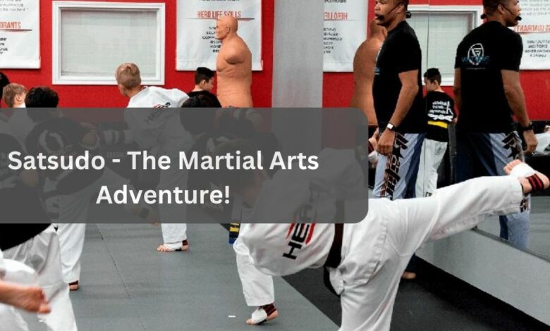 Satsudo - The Martial Arts Adventure!