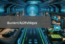 Bunkrr/A/2fvhlqvs – The Innovative Presentations!
